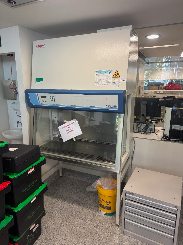 Image of Thermo Safe 2020 6' BioSafety Cabinet